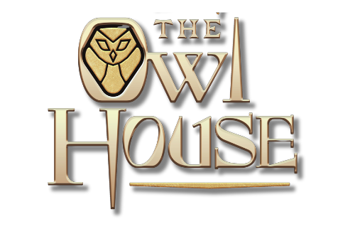 The Owl House Store